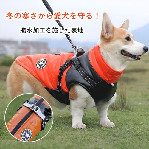 [AOKOWN]yۉ  EFAzhh ˍރR[g ~pybg TCYΉ ԎF&h ̌NǗ ȌpWPbg ~̌Zbg  XL