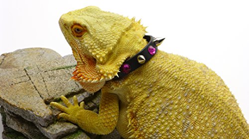 Leather Reptile Collar; Studs And Pink Rhinestones, 5" Neck #TOP6