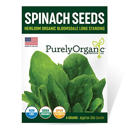 Organic Spinach Seeds (Bloomsdale Long Standing) - Approx 300 Seeds - USDA Organic, Non-GMO, Open...