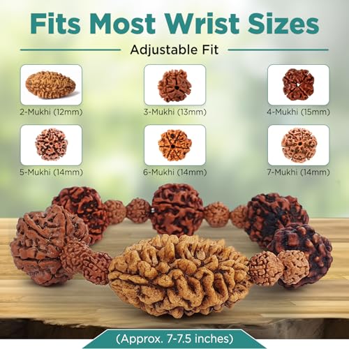 Rudraksha Bracelet For Men & Womens 2 Face, 3 Mukhi, 4 Mukhi, 5 Face, 6 Mukhi, 7 Mukhi Himalayan Rudraksha Beads Wrist Band for Yoga, Meditation Healing3
