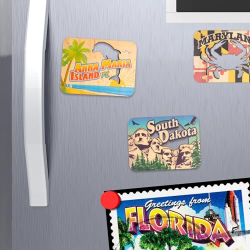 Imán Mad Mags Anna Maria Island Florida 3x2.25 pulg miniatura 5