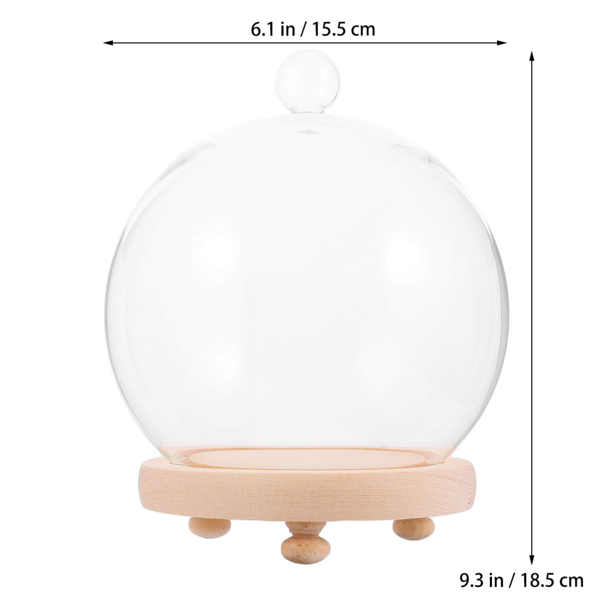 VICASKY 1 Juego Cubierta De Cristal De Flores Preservadas Terrarios De Vidrio para Soporte para Pasteles De Vidrio con Tapa Cúpula De Queso De Madera Antiguo Bambú Cubierta De Comida