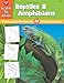Learn to Draw Reptiles & Amphibians