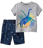 Bumeex Toddler Boys Clothes Dinosaur Short Sleeve Tee and Shorts Set Size 6