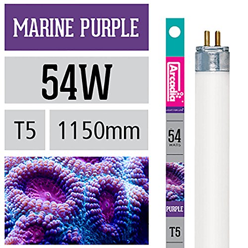 Preisvergleich Produktbild Arcadia Marine Purple 54 Watt Lampe T5 TL5 Aquarium Meerwasser Leuchtstofflampe