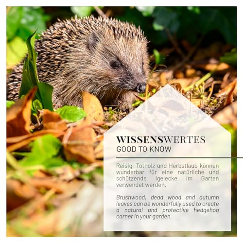 wildlife home Igelfutter VON IGELHILFEN EMPFOHLEN Getreidefrei 1kg - Artgerechtes Spezialfutter für Igel mit Insektenprotein für die optimale Energieversorgung, Vollwertiges Igel Futter Trockenfutter