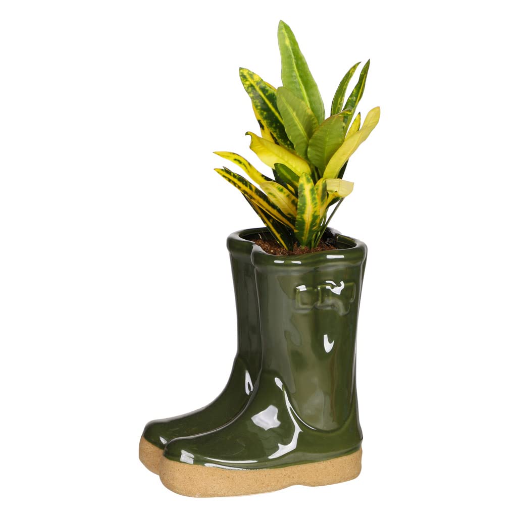 Dibor Herb Planter Wellington Boot Large Dark Green Flower Pot — image 1