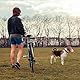 Fahrradleine für Hunde,Freihändiges Hunde Fahrrad Trainingsleine für Training, Joggen, Radfahren und Outdoor, Sicher Mit Haustieren Einfache Installation und Demontage 42.5cm