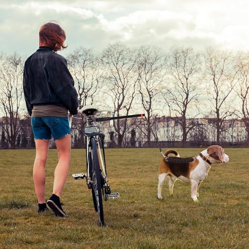Fahrradleine für Hunde,Freihändiges Hunde Fahrrad Trainingsleine für Training, Joggen, Radfahren und Outdoor, Sicher Mit Haustieren Einfache Installation und Demontage 42.5cm