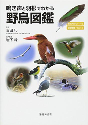 無料電子書籍アプリ 鳴き声と羽根でわかる 野鳥図鑑-鳥の鳴き声が聴ける・羽根の形・色がわ バイ