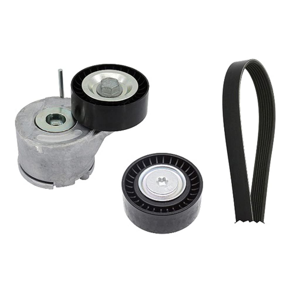 Jeu de courroies INA 529 0380 10 1670mm pour FIAT Doblo II et Qubo