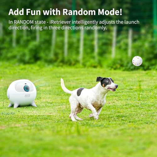 uahpet iRetriever Dog Ball Launcher with 4Pcs Balls, Automatic Obstacle Avoidance Dog Ball Launcher Suitable for Medium & Large Dogs