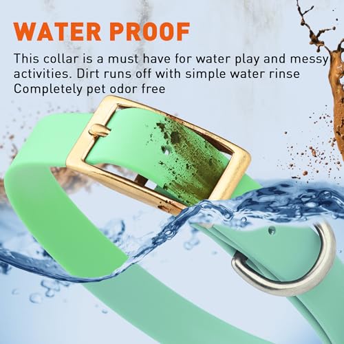 Image of Viper Biothane Heavy Duty Waterproof Dog Collar Strong Coated Nylon Webbing w /Solid Brass Hardware Odor-Proof for Easy Care to Clean High Performance Fits Small Medium or Large Dogs, Sea Foam Green