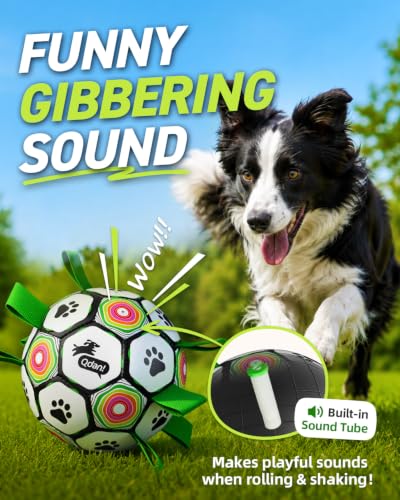  Dog Soccer Ball with Straps - image 2
