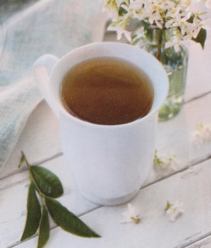 Bigelow Jasmine Green Tea