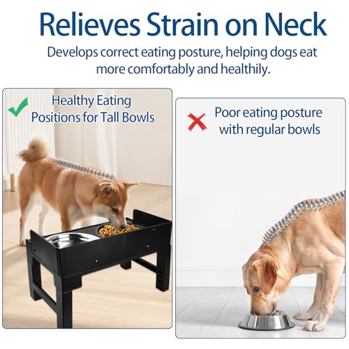 Dokeno Hundenapf Erhöht, Grosse Hunde Erhöhter Hundenapf, 5 Höhenverstellbar Futternapf, mit Langsam Futternapf, Auslaufsicher Napfständer, für Große Mittelgroße Kleine Hunde