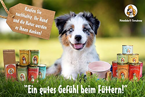 Pfotenliebe Bio Hundefutter Nassfutter mit Qualitätsgarantie, Bio-Putenschlemmer mit Zucchini, Natürlich ohne Chemie, Machen Sie Ihren Hund glücklich!, 6x200g
