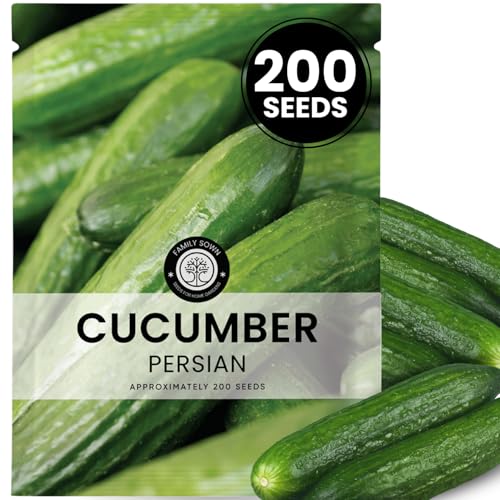Persian Cucumber 200 Premium Seeds for Planting Crisp Thin-Skinned Mini Slicer for the 2026 Season 6 Gram Pouch