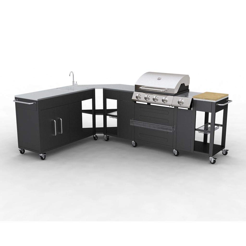 VidaXL 40428 Barbecue Zona cottura Gas Nero, Acciaio inossidabile barbecue e bistecchiera