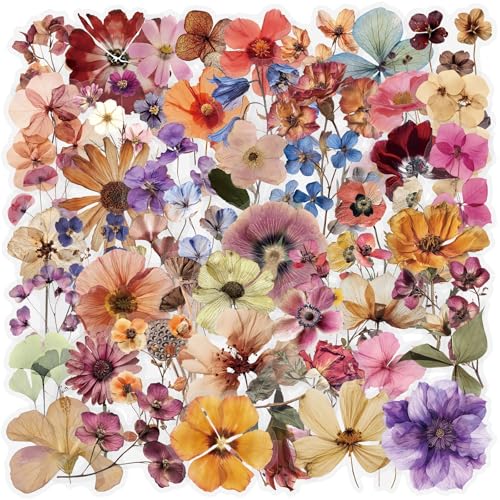 50pcs Transparent Vintage Flora Scrapbook Stickers Pack Vintage Flowers Aesthetic Flowers Stickers for Scrapbook Journal Waterproof for Water Bottles Laptop Phone Scrapbook Supplies DIY Crafts
