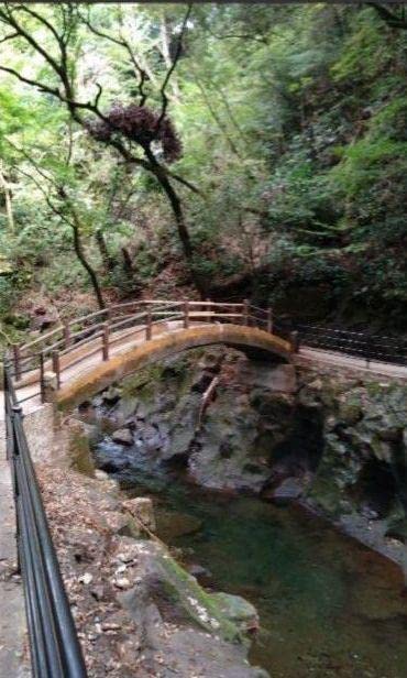 Amazon.co.jp: 高千穂 天岩戸神社満願成就 勝利獲得勝お守り特別