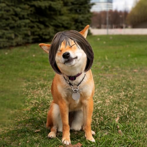 Peruca engraçada para cães e gatos – corte de cabelo marrom com franja, fantasia de animal de estima