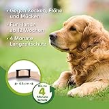 Beaphar Zecken- und Flohschutz Halsband Beige 65cm, Hund