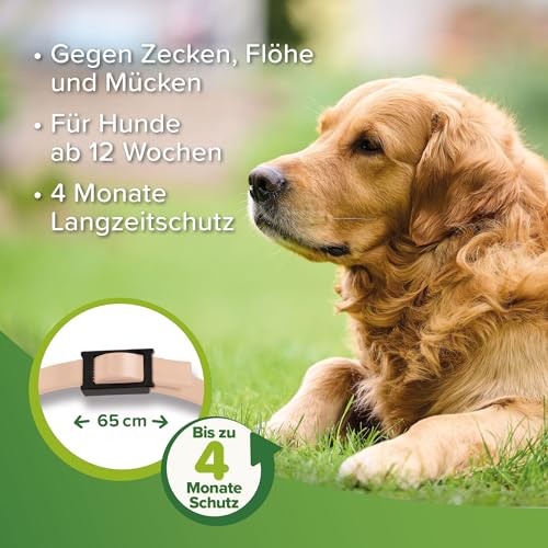 Beaphar Zecken- und Flohschutz Halsband Beige 65cm, Hund