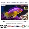 TV Antenna Indoor 2025, Antenna for Smart TV, Receive Stable and Large Number of Channels, Outdoor A... #2
