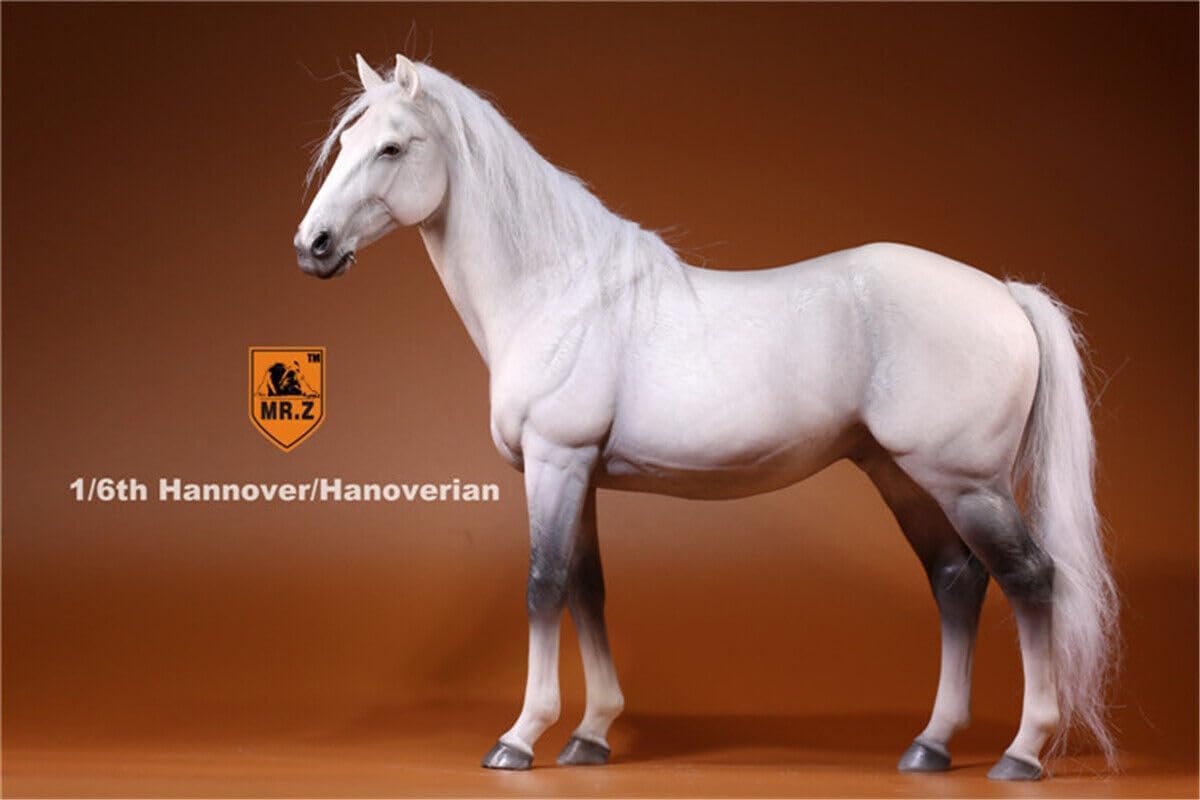 AMITD Mr.Z 1:6 Scale Germany Hanover Horse Figure Hanoverian Steed Animal Figure (MRZ005)