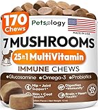 Turkey Tail Mushroom for Dogs - 170 Chews - Lion’s Mane - Shiitake - Reishi - Buddy Immune Support Guard - Mushroom Supplement for Dogs Lumps and Bumps Glucosamine, Health Vitamins Multivitamin
