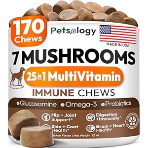 Turkey Tail Mushroom for Dogs – 170 Chews – Lion’s Mane – Shiitake – Reishi – Buddy Immune Support Guard – Mushroom Supplement for Dogs Lumps and Bumps Glucosamine, Health Vitamins Multivitamin