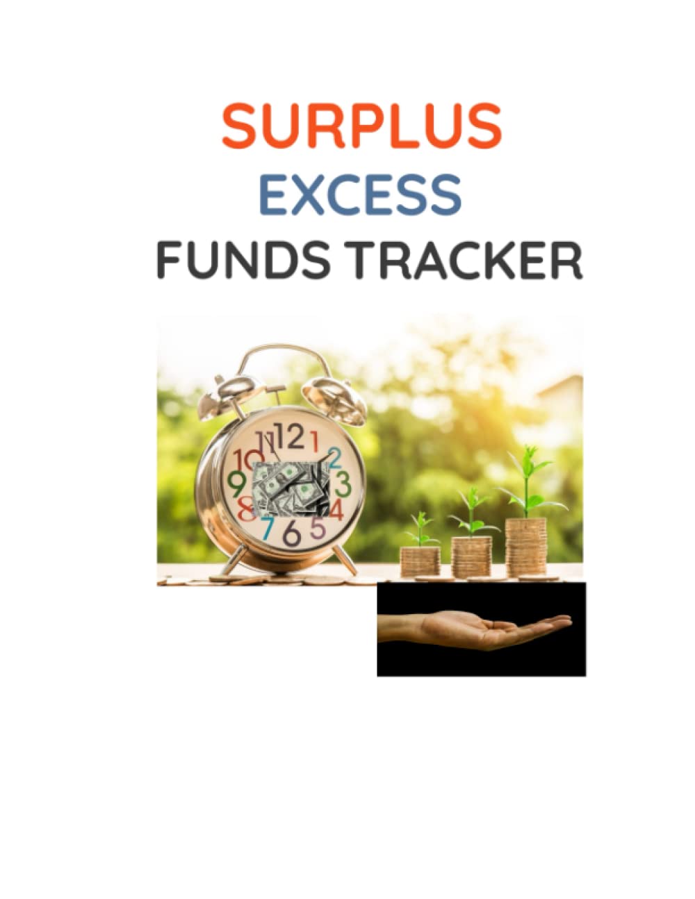 Surplus Excess Funds Tracker: Lead Contact/Monthly Summary Income Log notebook