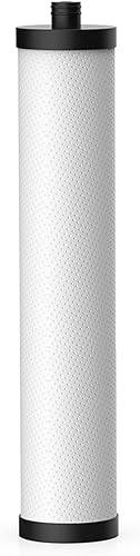 Frizzlife Cartucho de filtro de reemplazo PLC20 para SW20 y SW20F debajo del sistema de filtro de agua del fregadero