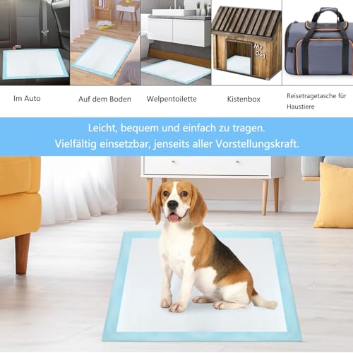 60 Stück Trainingspads für große Hunde 80x90cm Trainingsunterlagen Hunde, Einweg-Trainingsauflagen Auslaufsichere und Super saugfähige PIPI-Pads für Hunde（80x90cm）