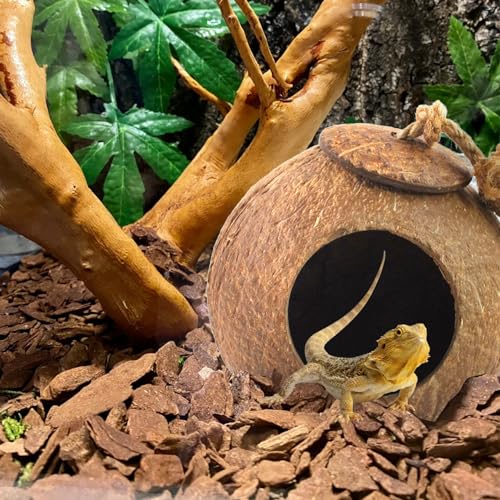 Image of Crested Gecko Coconut Hide Natural Lizard Coco Hut Reptile Hanging Nest Flexible Vine Habitat Decoration Bearded Dragon Terrarium Accessories for Chameleon Tree Frog Snake Hermit Crab