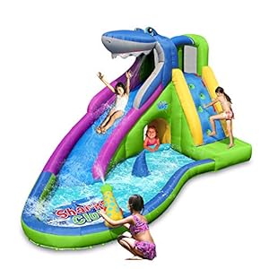 ACTION AIR Inflatable Waterslide-NO...