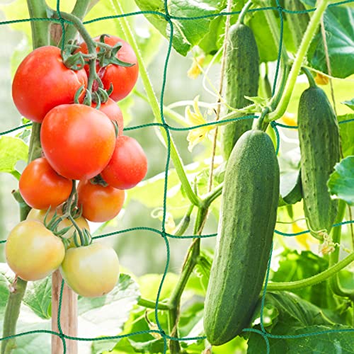 KINGLAKE Malla de Escalada de Plantas para Ayudar a Escalar Jardín Plantas, Pepino, Guisantes, Tomate, Frijoles, 3.6X1.8M, Tamaño Malla 10 cm, Verde