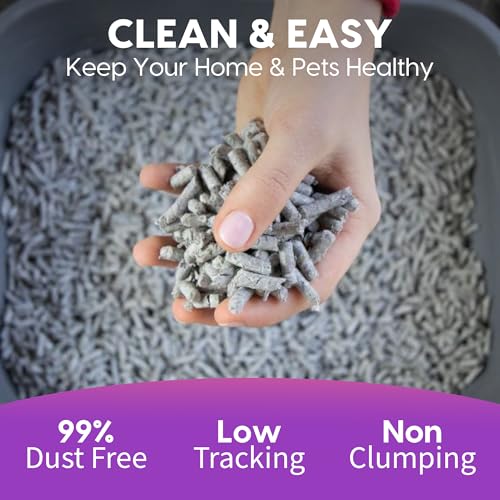Image of Fresh News Multi-Cat Pellet Non-Clumping Paper Cat Litter, 25 Pound