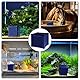 SKIKHN Wasserreiniger Würfel, Clever Cube Aktivkohle Pferde, Eco Aquarium Wasserreiniger Würfel, Aktivkohlefilter Pferdetränke, Wasserfilter zur Reinigung von Verunreinigungen und Gerüchen