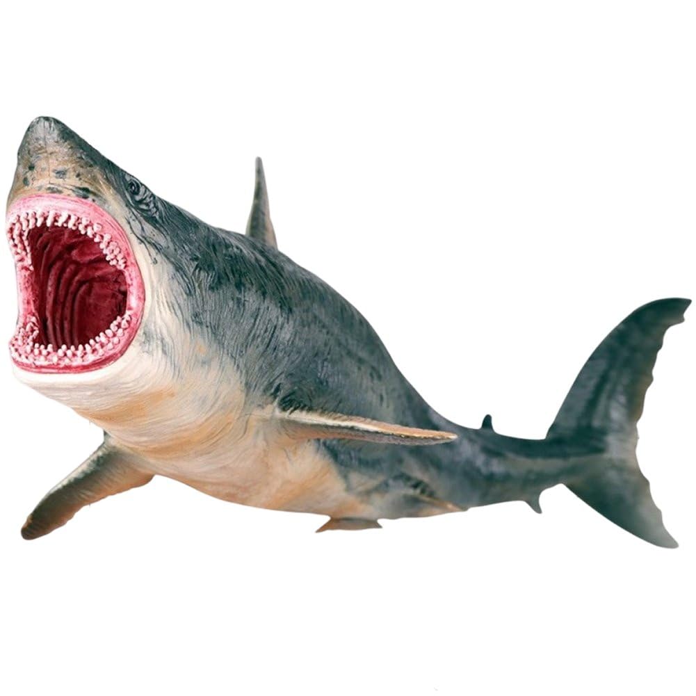 Hrippy Marine Megalodon Action Figure Classic Ocean Animals Big Shark Fish Model Pvc Collection