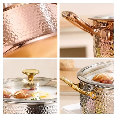 SAeWare Pentola in acciaio inossidabile 304, fatta a mano con coperchio, elegante casseruola per cucina e cucina domestica, argento, 28 cm
