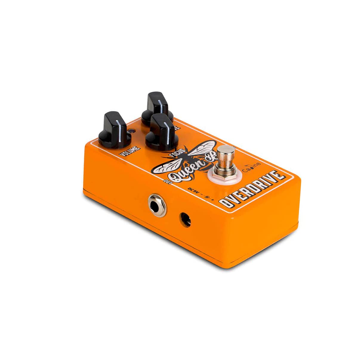 Caline CP-503 Queen Bee Overdrive - Overdrive Pedale