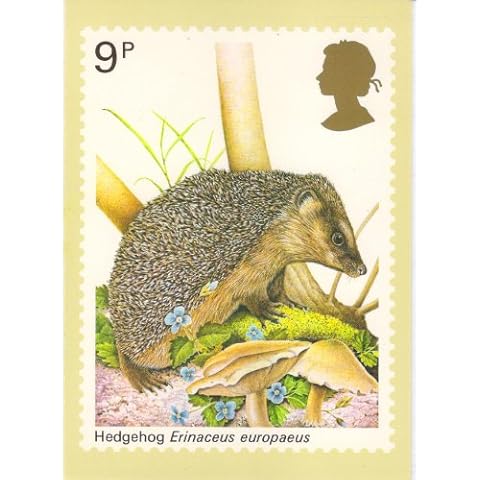 1977 Hedgehog Royal Mail Stamp Postcard Cover