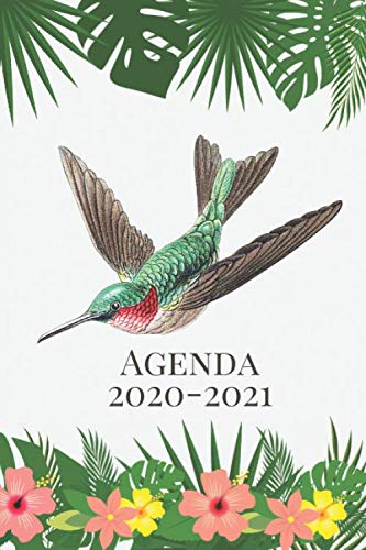 Télécharger Agenda 2020-2021: Planificateur Mensuelle et Semainier de Août 2020 à Décembre 2021 Colibri Livre eBook France