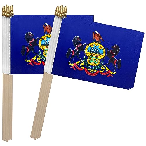 33 Alleged Members of Violent Kensington Drug Ring Indicted in Federal Crackdown 18 TSMD Pennsylvania PA State Flag on Wood Stick Small Mini Hand Hel...