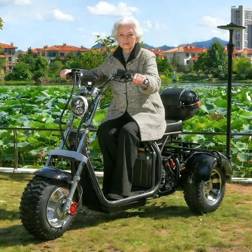 SAYHOODAX Off-Road Mobility Scooter