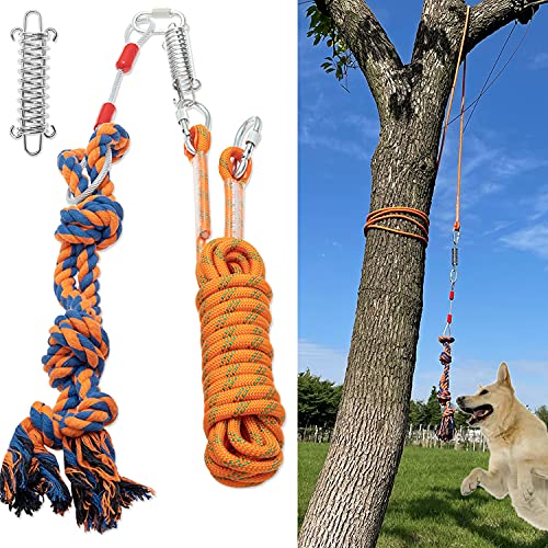 AMFOSNEL Interactive Dog Rope Toy for Outdoor Tug of War & Exercise Pull & Yard Play for Small, Medium, Large Dogs - Bungee Hanging Toy with Spring Pole, 18 ft Rope, Dog Rope Toy, Dog Tie Out Cable