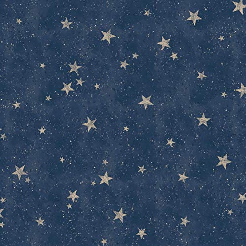 Fine Décor M1490 Starlight Stars - Papel pintado, diseño de estre...