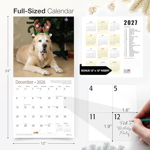 Image of RED EMBER Yellow Labs 2026 Wall Calendar 12 Month | 12 inch x 24 inch Open | Thick & Sturdy Paper | Giftable | Cute Labrador Retriever Puppy Dog Calendar 2026